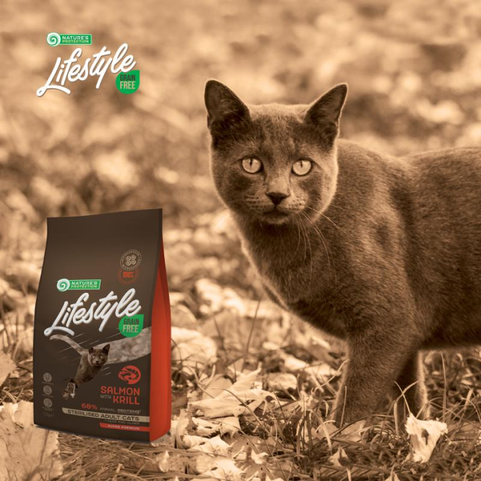 Grain free salmon sales cat food